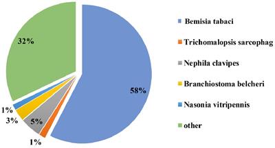 Comparative transcriptome analysis of whiteflies raised on cotton leaf curl Multan virus-infected cotton plants